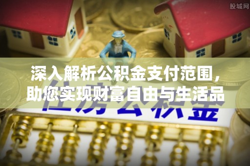堆龙德庆深入解析公积金支付范围，助您实现财富自由与生活品质提升