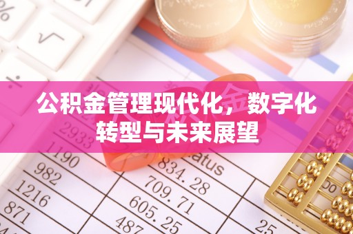 堆龙德庆公积金管理现代化，数字化转型与未来展望