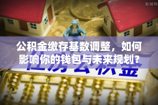 堆龙德庆公积金缴存基数调整，如何影响你的钱包与未来规划？
