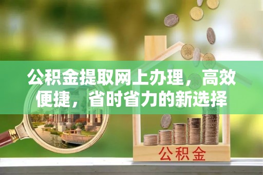 堆龙德庆公积金提取网上办理，高效便捷，省时省力的新选择