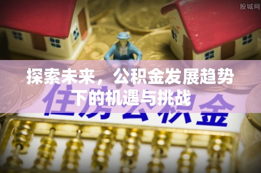堆龙德庆探索未来，公积金发展趋势下的机遇与挑战