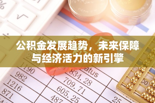 堆龙德庆公积金发展趋势，未来保障与经济活力的新引擎