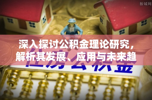 堆龙德庆深入探讨公积金理论研究，解析其发展、应用与未来趋势